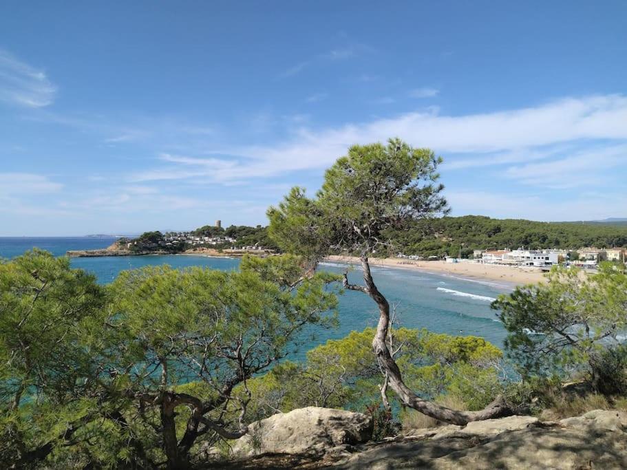 Conca De Barberá Tarragona